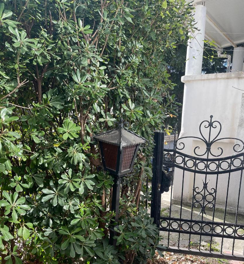 רפאלוביץ' Petra'S Place מראה חיצוני תמונה